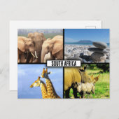Südafrika NaturfotoCollage Postkarte (Vorne/Hinten)