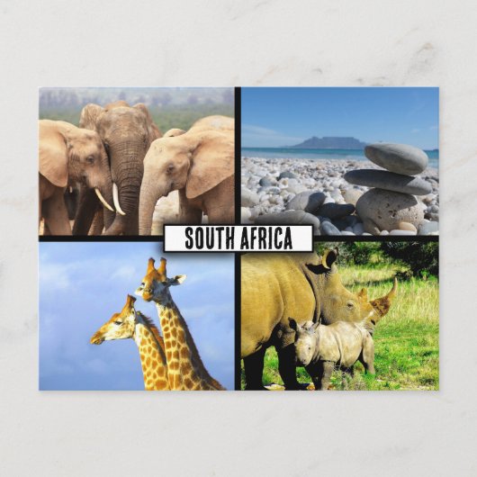 Südafrika NaturfotoCollage Postkarte (Vorderseite)
