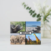 Südafrika NaturfotoCollage Postkarte (Stehend Vorderseite)
