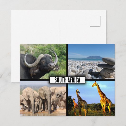 Südafrika NaturfotoCollage Postkarte (Vorne/Hinten)