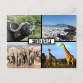 Südafrika NaturfotoCollage Postkarte (Vorderseite)