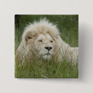 Südafrika, Ost-London, Inkahnwezi Private Button