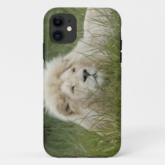 Südafrika, Ost-London, Inkahnwezi Private Case-Mate iPhone Hülle (Rückseite)
