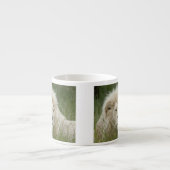 Südafrika, Ost-London, Inkahnwezi Private Espressotasse (Vorderseite)