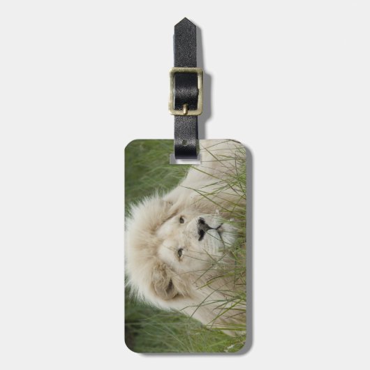 Südafrika, Ost-London, Inkahnwezi Private Gepäckanhänger (Vorderseite vertikal)