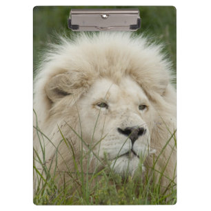 Südafrika, Ost-London, Inkahnwezi Private Klemmbrett