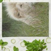 Südafrika, Ost-London, Inkahnwezi Private Küchentuch (Gefaltet)