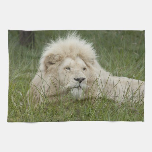 Südafrika, Ost-London, Inkahnwezi Private Küchentuch (Horizontal)