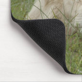 Südafrika, Ost-London, Inkahnwezi Private Mousepad (Ecke)