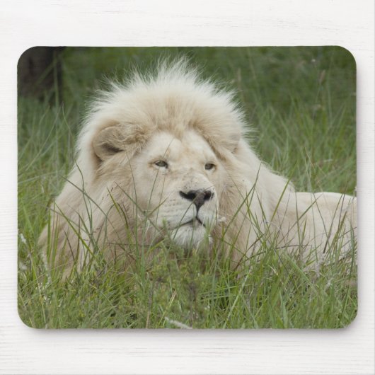 Südafrika, Ost-London, Inkahnwezi Private Mousepad (Vorne)