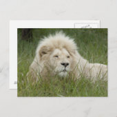 Südafrika, Ost-London, Inkahnwezi Private Postkarte (Vorne/Hinten)