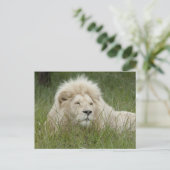 Südafrika, Ost-London, Inkahnwezi Private Postkarte (Stehend Vorderseite)