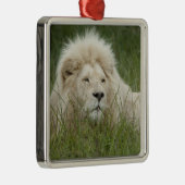 Südafrika, Ost-London, Inkahnwezi Private Silbernes Ornament (Rechts)