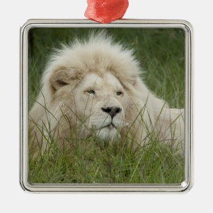 Südafrika, Ost-London, Inkahnwezi Private Silbernes Ornament