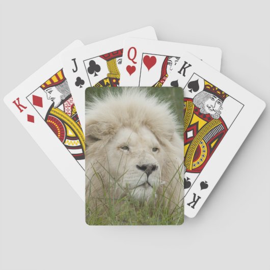 Südafrika, Ost-London, Inkahnwezi Private Spielkarten (Rückseite)