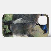 Südafrika, Pilanesburg GR, Warthog Case-Mate iPhone Hülle (Rückseite (Horizontal))