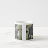 Südafrika, Pilanesburg GR, Warthog Espressotasse (Vorderseite)