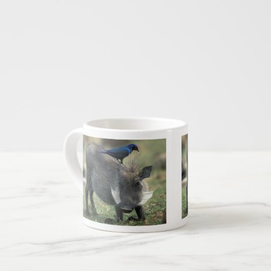 Südafrika, Pilanesburg GR, Warthog Espressotasse (Vorderseite Links)
