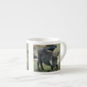 Südafrika, Pilanesburg GR, Warthog Espressotasse (Vorderseite Rechts)