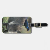 Südafrika, Pilanesburg GR, Warthog Gepäckanhänger (Vorderseite horizontal)