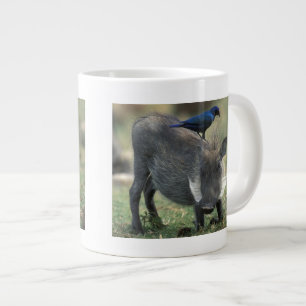 Südafrika, Pilanesburg GR, Warthog Jumbo-Tasse