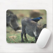 Südafrika, Pilanesburg GR, Warthog Mousepad (Mit Mouse)