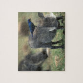 Südafrika, Pilanesburg GR, Warthog Puzzle (Vertikal)