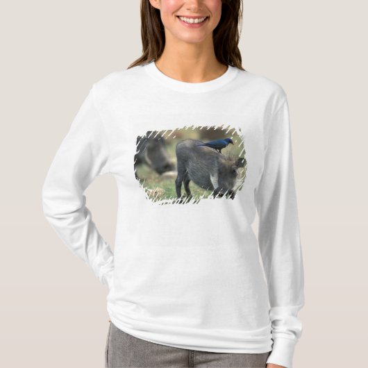Südafrika, Pilanesburg GR, Warthog T-Shirt (Vorderseite)