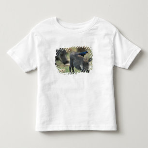 Südafrika, Pilanesburg GR, Warzenschwein Kleinkind T-shirt