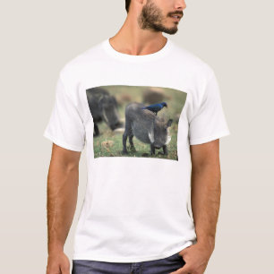 Südafrika, Pilanesburg GR, Warzenschwein T-Shirt
