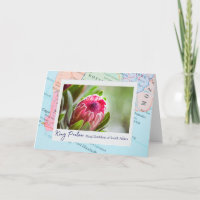 Südafrika Pink King Protea Floral Emblem auf Karte