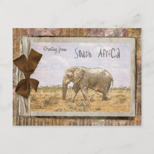 Südafrika Postkarte