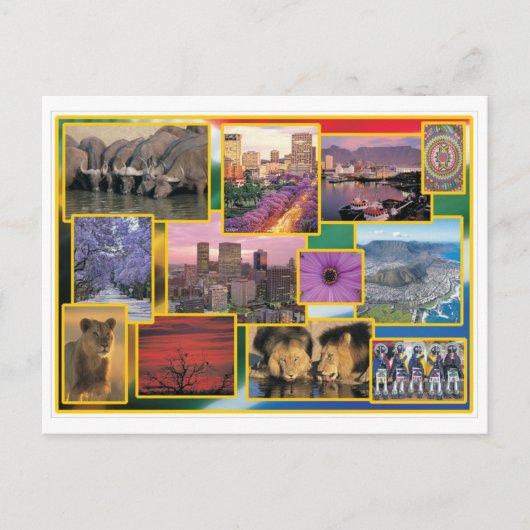 Südafrika Postkarte (Vorderseite)