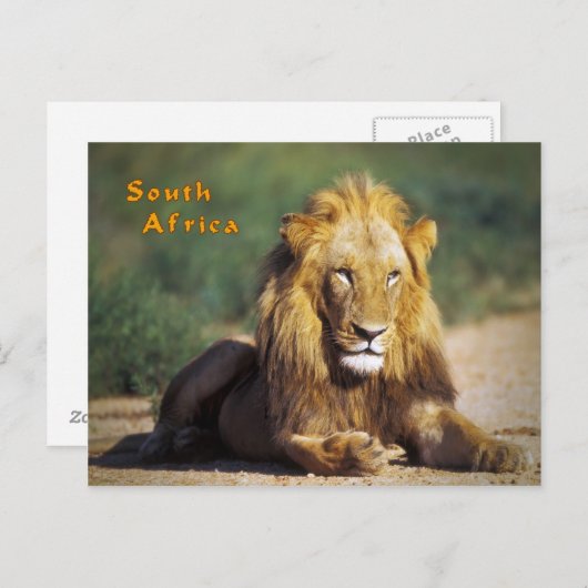 Südafrika Postkarte (Vorne/Hinten)