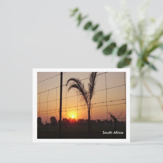 Südafrika Postkarte (Stehend Vorderseite)