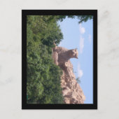 Südafrika Postkarte (Vorderseite)