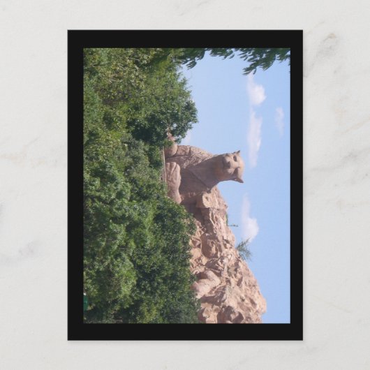 Südafrika Postkarte (Vorderseite)