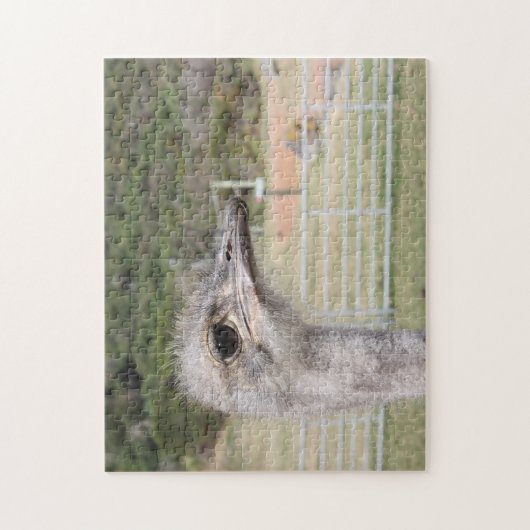 Südafrika Straußenfarm. Puzzle (Vertikal)
