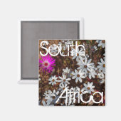 Südafrika Velddrif Westküste Wilde Blume Magnet (Vorderseite/Rückseite)