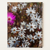 Südafrika Velddrif Westküste Wilde Blume Planer (Rückseite)