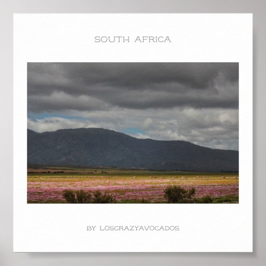 Südafrika Wilde Blume Landscape Travel Poster (Vorne)