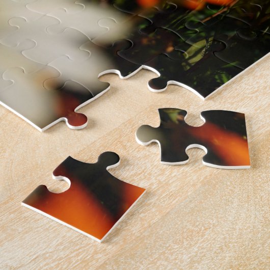 Südafrika Wilde Namaqualand-Blume Puzzle (Seite)