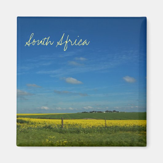 Südafrika ZA Canola Field Landschaftsbild Magnet (Vorne)
