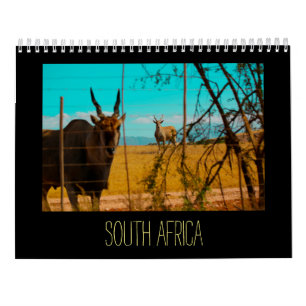 Südafrika ZA Tiere Wildtiere Kalender