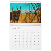 Südafrika ZA Tiere Wildtiere Kalender (Jan 2027)