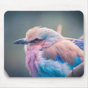 Südafrikanische Flieder-Breasted Rolle Mousepad