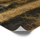 Südafrikanische Giraffe Poster (Ecke)