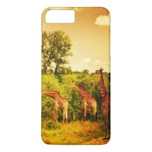 Südafrikanische Giraffen Case-Mate iPhone Hülle