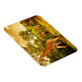 Südafrikanische Giraffen Magnet (Rechte Seite)