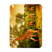 Südafrikanische Giraffen Magnet (Vertikal)